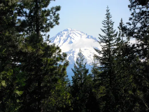 Shasta Family Camp photo 5