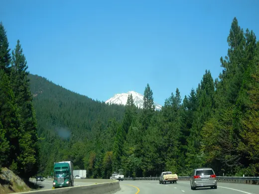 Shasta Family Camp photo 6